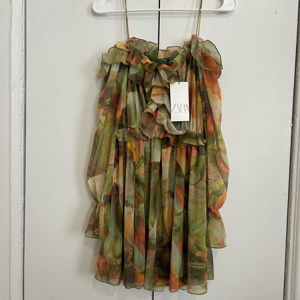 Zara Ruffled Printed Mesh Tulle Mini Dress